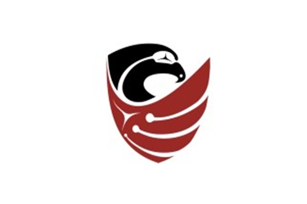 Nisgaa Ciops LLC-Chantilly, VA 20151