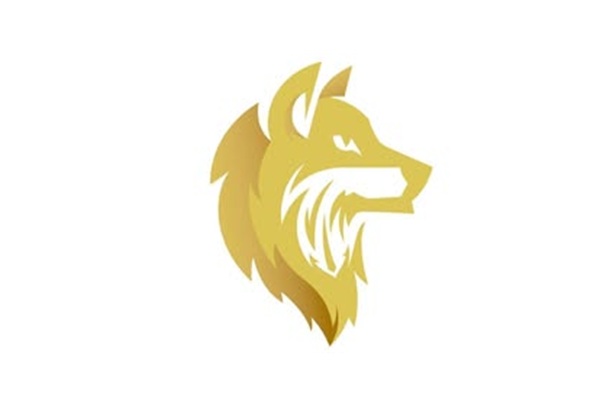 Golden Wolf LLC-Brandon, FL 33510
